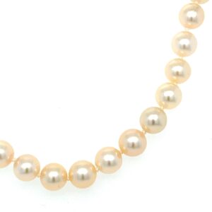 5.5mm Cultured Pearl necklace with 9ct Yellow Gold clasp