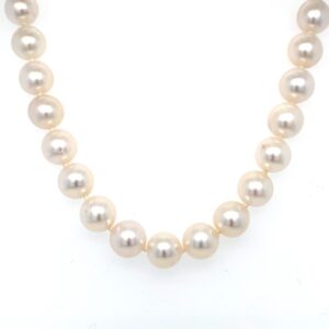 8.5mm Cultured Pearl necklace with 9ct Yellow Gold clasp
